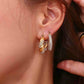 Elegant Gold Hoop Earrings
