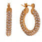 Elegant Gold Hoop Earrings