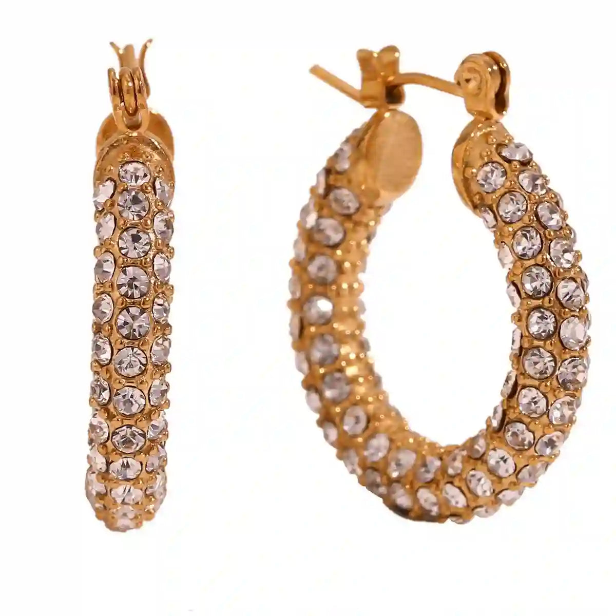 Elegant Gold Hoop Earrings